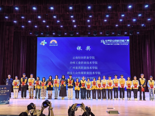 4.手工艺术设计赛项获奖(银奖) 4.手工艺术设计赛项获奖(银奖)